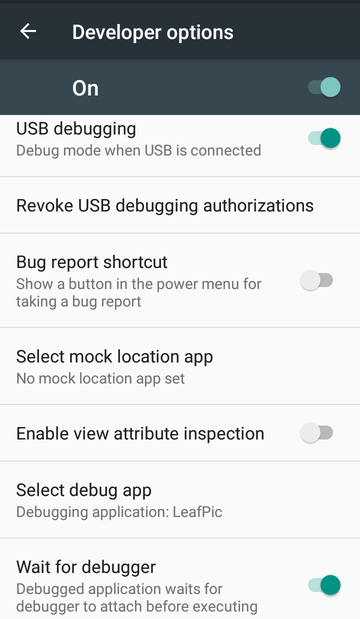 Developer options ready for app debugging