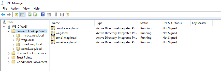 dnsmgmt.msc showing ADIDNS zones